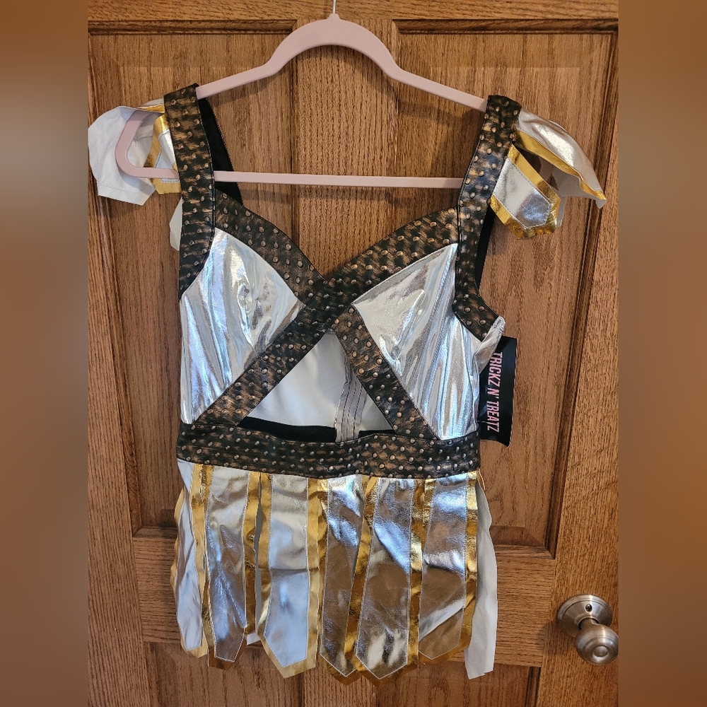 Dolls Kill Cosplay Gladiator Costume